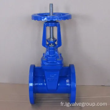 Valve de porte d&#39;eau de tige montante Z41X